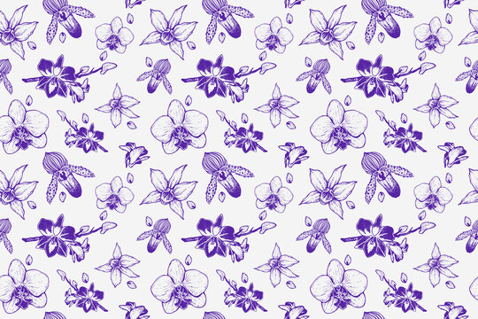 Seamless pattern of hand drawn purple orchid flower sketch line art illustration on white for textile fabric wallpaper design, branding.
