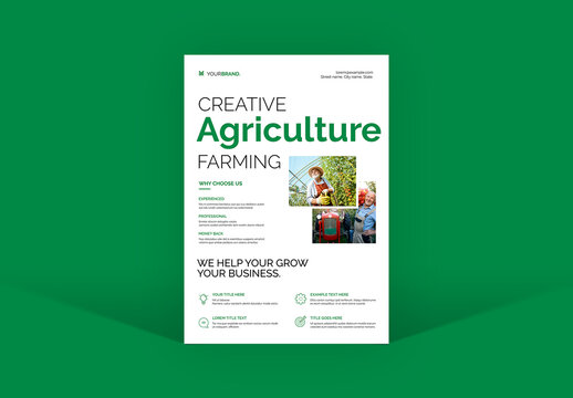 Flyer Template
