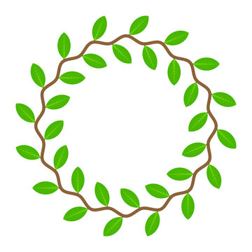 circle frame of creeping plant with green leaf on white background.