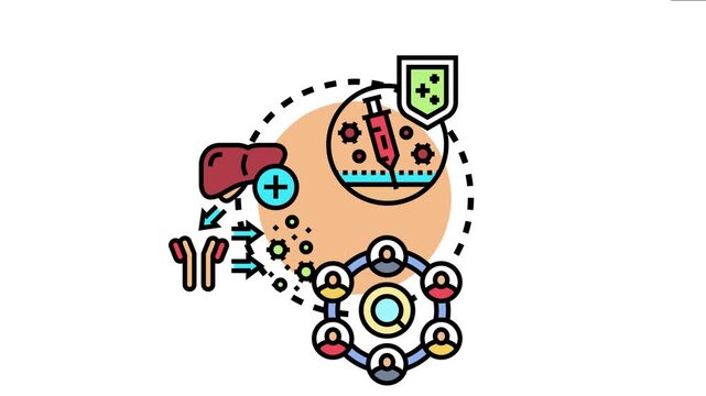 B cell affinity maturation process antigens, antibodies, immune cells, and vaccination for robust immune system development and disease defense