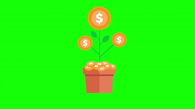 Money Tree Concept with Coins Growing from a Plant Representing Investment, Savings and Financial Growth