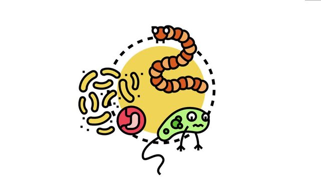 Discovering various types of bacteria and microscopic organisms, studying their morphology and characteristics for medical diagnostic and scientific investigation