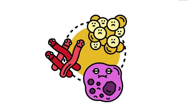 Microbiological research identifying diverse bacteria forms, including cocci, bacilli, and other microorganisms, highlighting the process of understanding types of infection and cellular threats