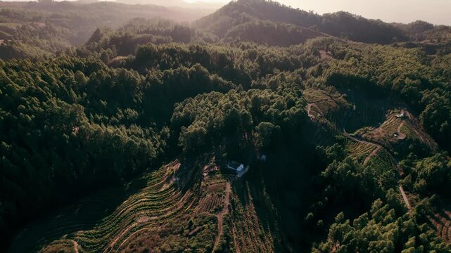 A drone reveals a small farmhouse on cultivated terraces tucked inside a forested ravine.