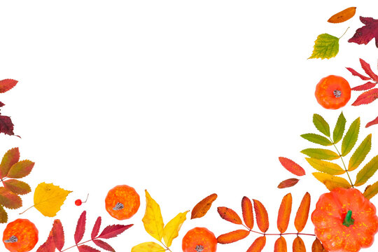 Horizontal autumn banner with a fallen colorful leaves and orange pumpkin on a transparent background with place for text