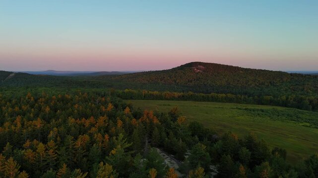 Golden hour light over rolling hills and forest