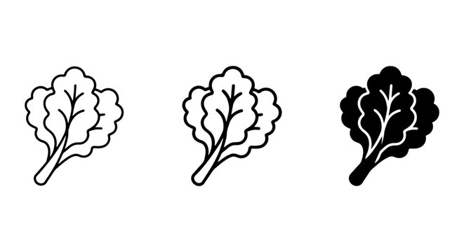Lettuce Icons Set, Fresh Green Leafy Vegetable Vector Graphics, Healthy Food Outline and Silhouette
