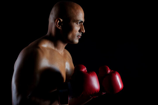 Portrait of a boxer 