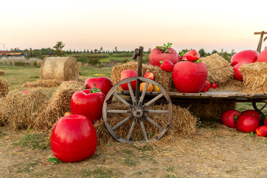 Rustic autumn harvest display featuring large bright red apples and straw bales on a vintage wooden wagon. Scenic outdoor park installation for fall, Thanksgiving, and countryside farm concepts.