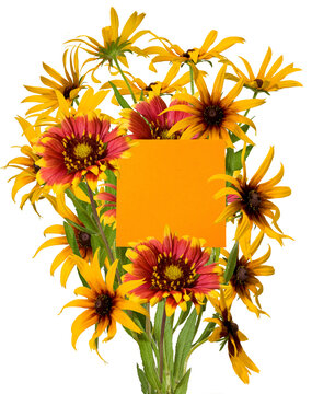 Bright flowers fill a space with colors and shape in a simple arrangement isolated on transparent background, PNG file