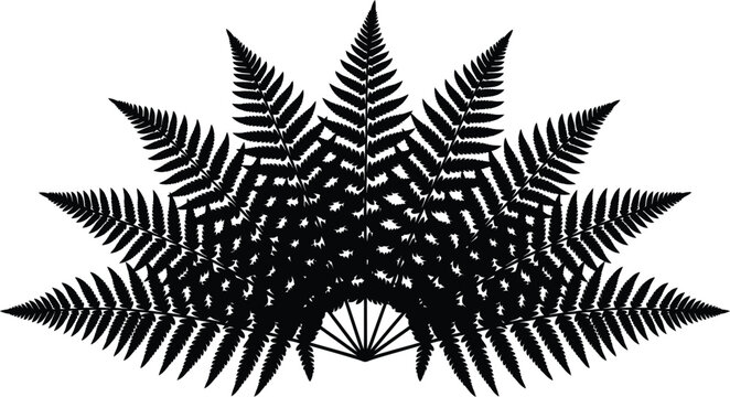 Detailed black fern leaf vector illustration arranged in a decorative fan shape for artistic design projects