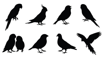 Fototapeta premium Animal Vector Silhouettes Sheet Featuring Various Bird Species Including Parrots and Pigeons