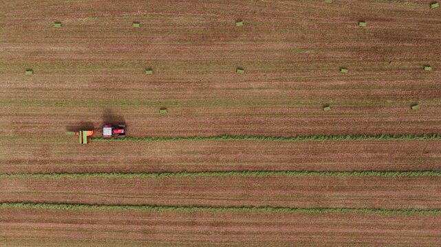 Agricultural tractor with a hay baler attachment driving across a mowed field, collecting cut grass from windrows and ejecting rectangular bales for livestock feed during the harvest season