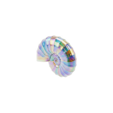 Iridescent Nautilus Seashell with Metallic Rainbow Color Finish