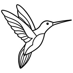 Obraz premium Hummingbird line art vector