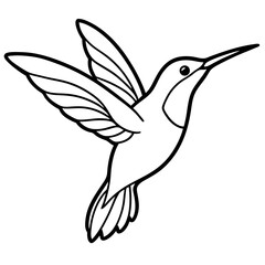 Fototapeta premium Hummingbird line art vector