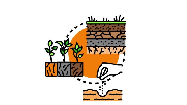 Cultivating a home garden concept showing soil layers, planting seedlings, and a hand scattering seeds, the process of growth, sustainability, and green living