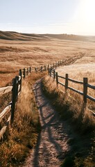 Obraz premium Golden meadow path evokes peace a sunlit rural scene of gentle breezes and rustic charm