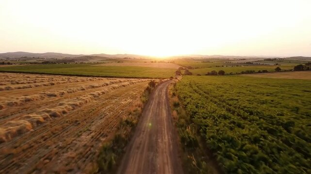 Aerial view of dirt road through golden farm fields at sunset, scenic countryside landscape with rolling hills and warm sunlight glow