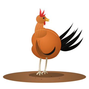 Cute rooster chicken standing on ground vector illustration isolated on transparent background