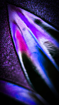 Iridescent Blue and Purple Macro Texture with Abstract Metallic