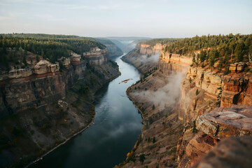 Fototapeta premium A winding river flows through a deep canyon with steep rocky cliffs and pine forests, with a bird flying over the water in the morning mist