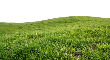 Obraz premium Vibrant green rolling hills covered in lush grass under a bright sky