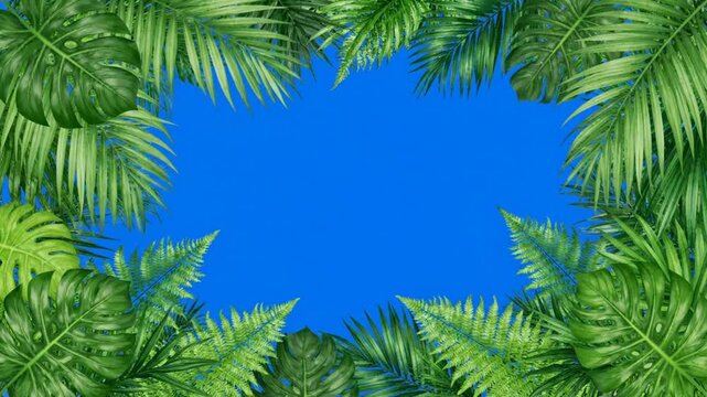 Tropical palm leaves frame overlay with chroma key blue screen background, for easy compositing, and nature projects