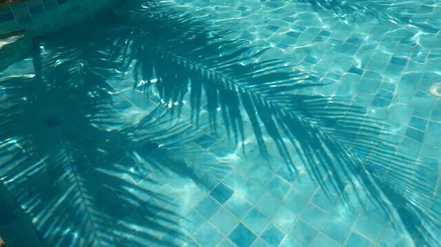 Tropical palm tree leaf shadow rippling on blue swimming pool water surface background
