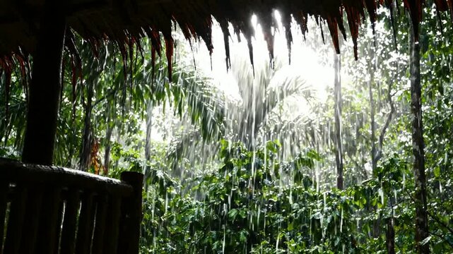 Tropical rainstorm pouring over lush jungle forest view from thatched roof hut rainforest