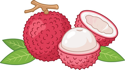 Fototapeta premium Fresh exotic lychee fruit vector illustration featuring a whole textured pink shell halved pieces showing juicy white pulp and green leaves isolated on white background