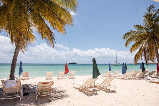 Relaxing tropical beach with lounge chairs and palms
