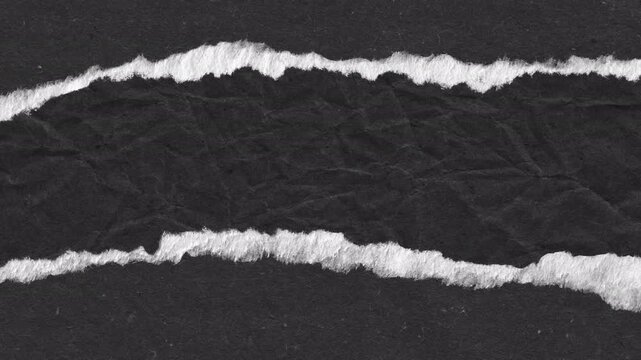 Abstract Torn Black Paper Edge Texture Transition Effect.