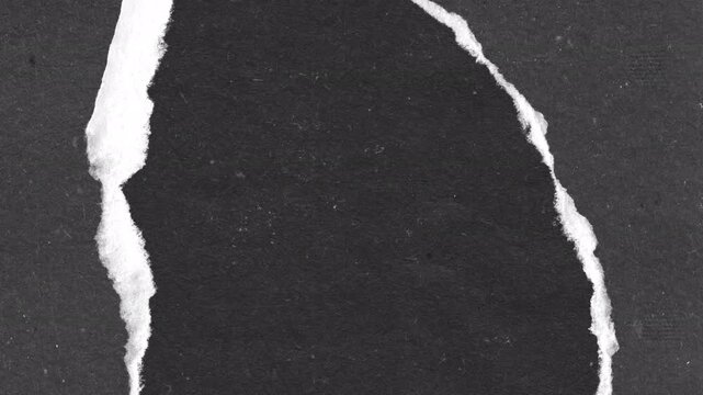 Abstract Torn Paper Effect Reveal Transition Animation.