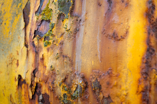 Close-up of rusted, peeling yellow paint on an old tractor used to launch boats on Aldeburgh beach, Suffolk, its weathered metal surface covered in patches of lichen and corrosion.