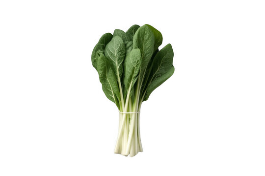 Fresh organic komatsuna bunch on transparent background