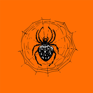 Halloween vintage spider. Hand drawn retro sketch vector illustration. Greeting design for holiday cards, posters, kids party decor.