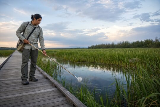 Mosquito Surveillance Program Native American Technician Surveying