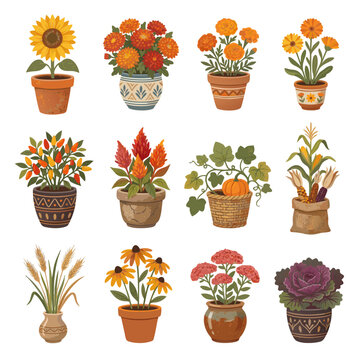Set of potted autumn plants and flowers vector illustration including sunflower, red mums, marigold, calendula, chili peppers, celosia, pumpkin in basket, corn in burlap sack, dried grass, black-eyed 
