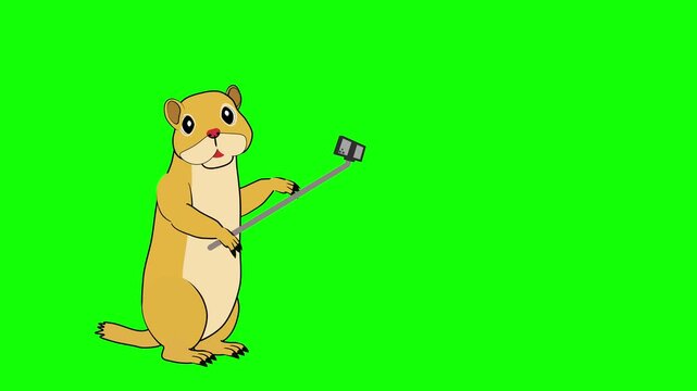 Talking Ground Squirrel Explaining a Jumping Jerboa on Green Screen Animation