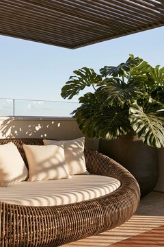 Urban rooftop lounge corner featuring a sculptural rattan daybed with cream cushions and a large Monstera plant in a charcoal planter