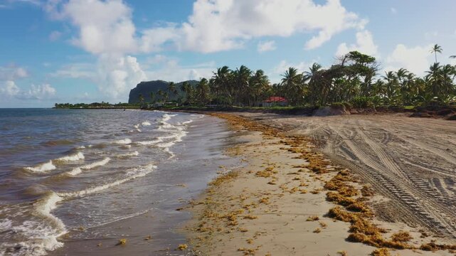 Low aerial view of a sandy shoreline near Vieux Fort, Saint Lucia, where gentle waves wash over sargassum-lined beaches beneath the iconic Moule &agrave; Chique cliffs.
