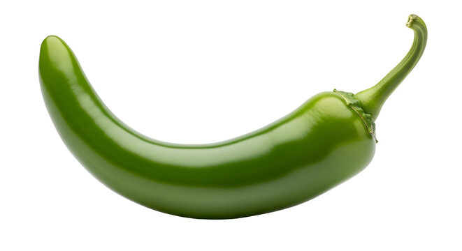 Fresh whole green jalapeno chili pepper isolated on a plain surface