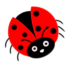 Fototapeta premium Cute Cartoon Red Ladybug Beetle Character Hand Drawn Illustration