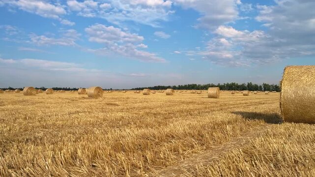 Drone flies between round straw bales spread across an expansive harvested cereal field passing close to several rolls as cut stalks fill the foreground beneath bright scattered summer clouds