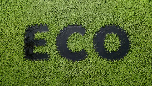 Duckweed covers a pond around the word ECO shaped in open water, creating a sustainability concept for natural water purification, ecological restoration, circular bioeconomy, and green biotechnology.