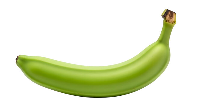 Fresh single green banana fruit with raw skin