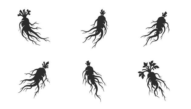 Set of six black silhouette illustrations depicting various ginseng root shapes with leaves on a solid white background for design.