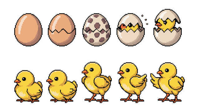 Chick hatching pixel art animation set, 8-bit video game sprites depicting egg development, chick emergence and walking baby bird character frames.