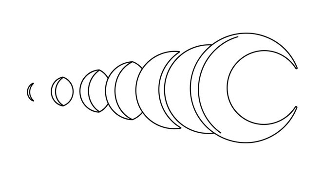 Abstract crescent shapes forming an abstract symbol or motif